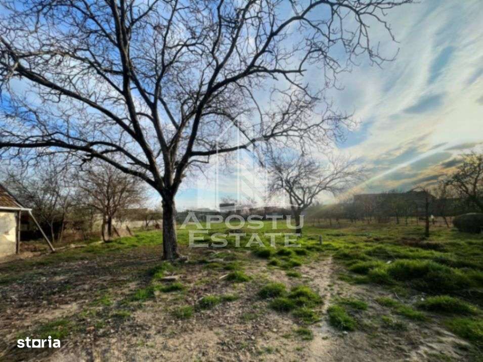 Teren intravilan, zona Sannicolau Mic