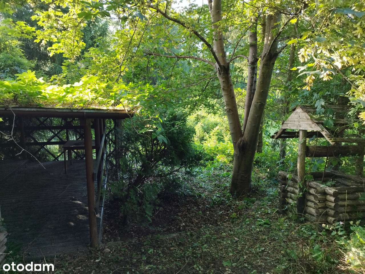 Działka nad rzeką , domek - wyjątkowa działka nad samą rzeką-6