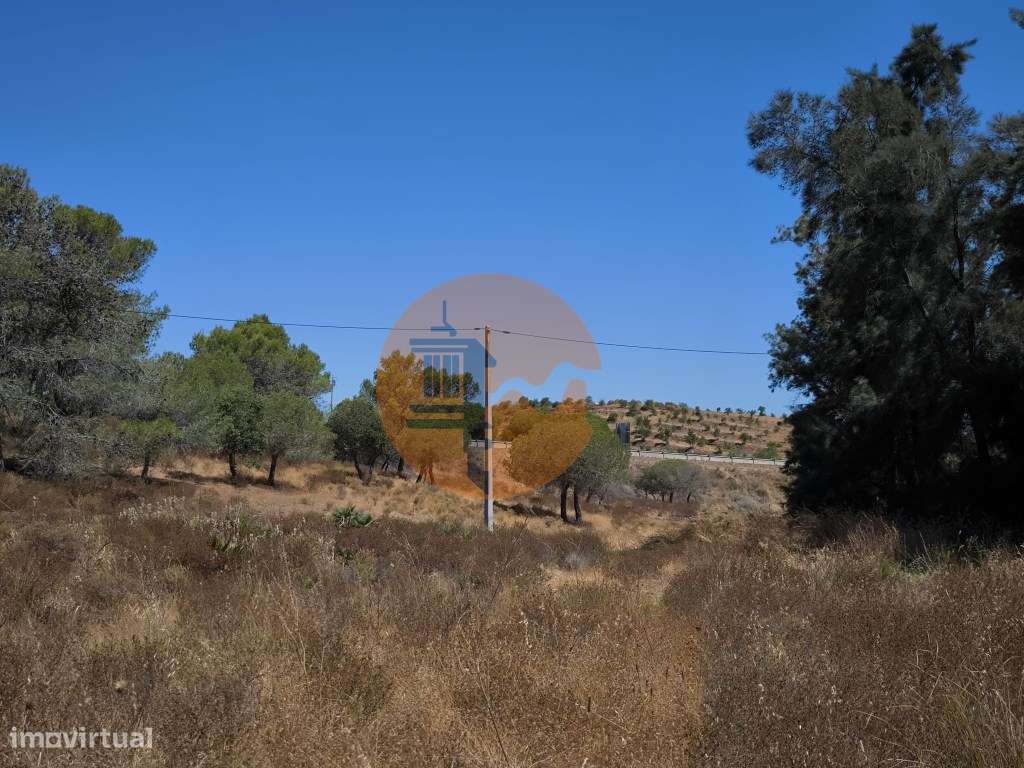 TERRENO RUSTICO COM 22.520 M2 - PLANO - COM SOBREIROS - POSSIBILIDA... - Grande imagem: 4/25