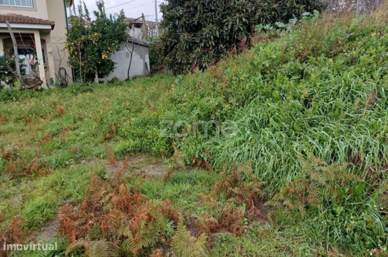 Terreno com Vistas Deslumbrantes — Bisalhães, Vila Real - Grande imagem: 4/9