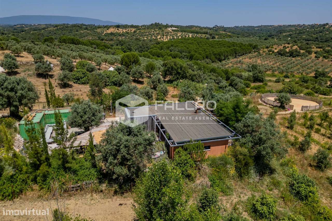 Quinta T2+2 Venda em Brogueira, Parceiros de Igreja e Alcorochel,Torre - Grande imagem: 5/50