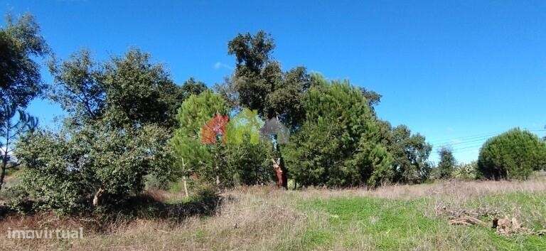 Terreno Urbano - Vendas Novas - Grande imagem: 4/10