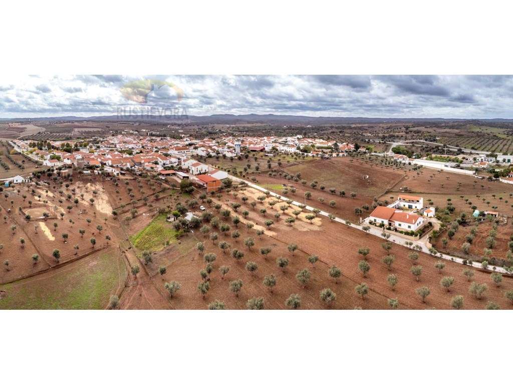 Terreno Urbanizável em Monte do Trigo | Évora, Alentejo - Grande imagem: 5/12