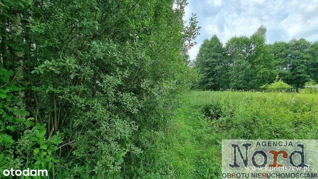 Działka z dostępem do rzeki Czarna Hańcza - Pełny obrazek: 4/7