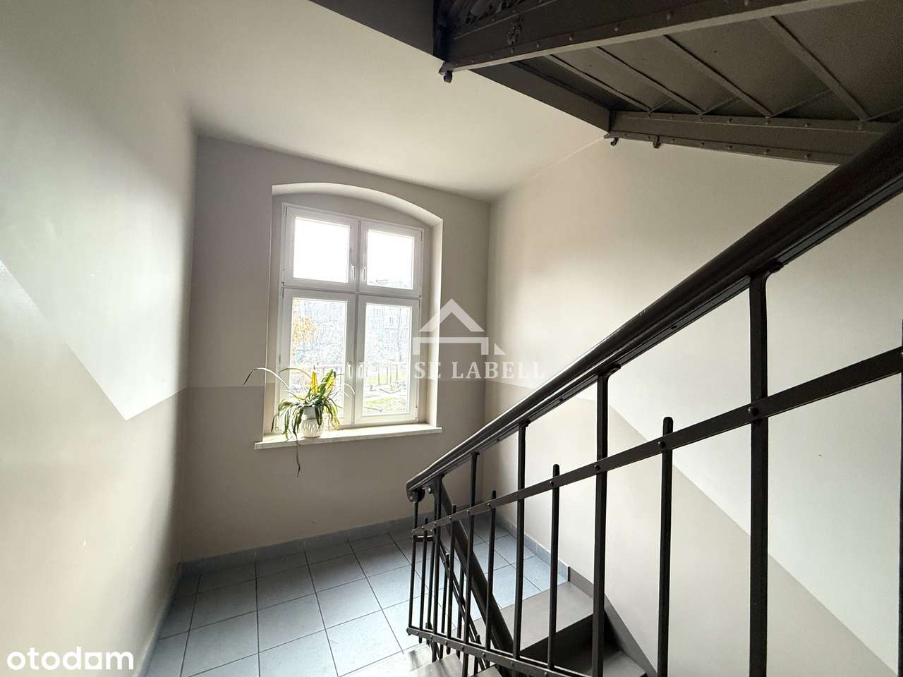 Mieszkanie z potencjałem + strych do adaptacji! Śródmieście Katowic-17