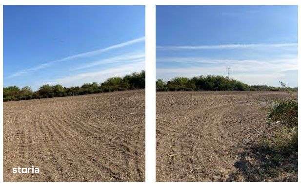 Teren extravilan agricol Halmeu, Satu Mare - 3085272-0