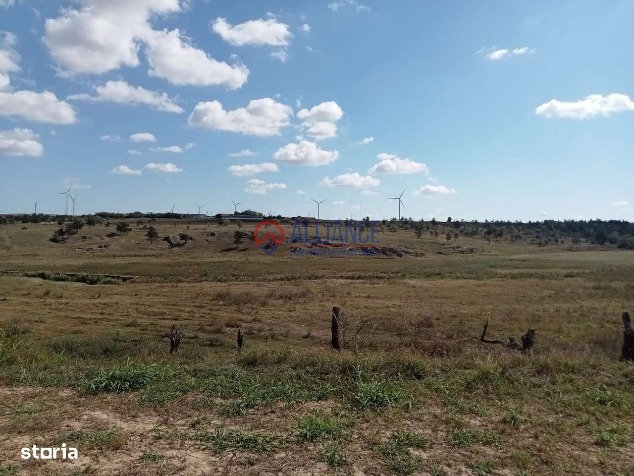 Teren intravilan 4.000 mp - Gradina, jud. Constanta-2