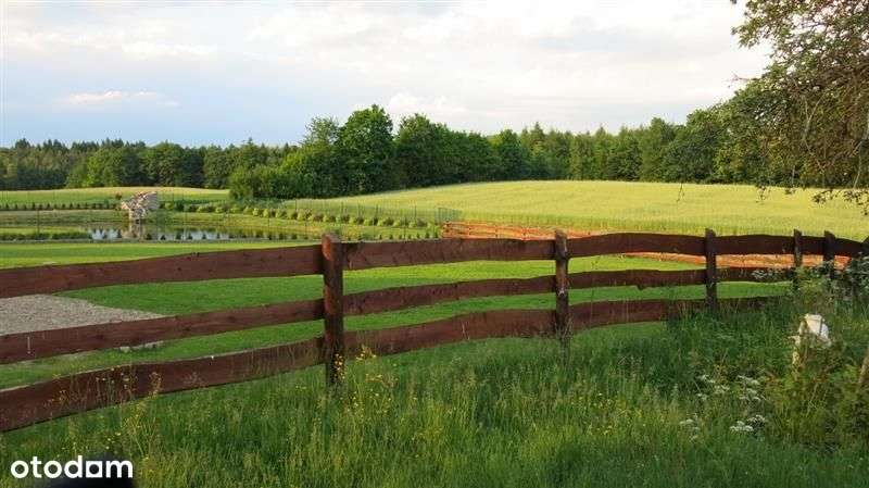 Dom rekreacyjny - Chojna Obręb Kolonia - Pełny obrazek: 5/12