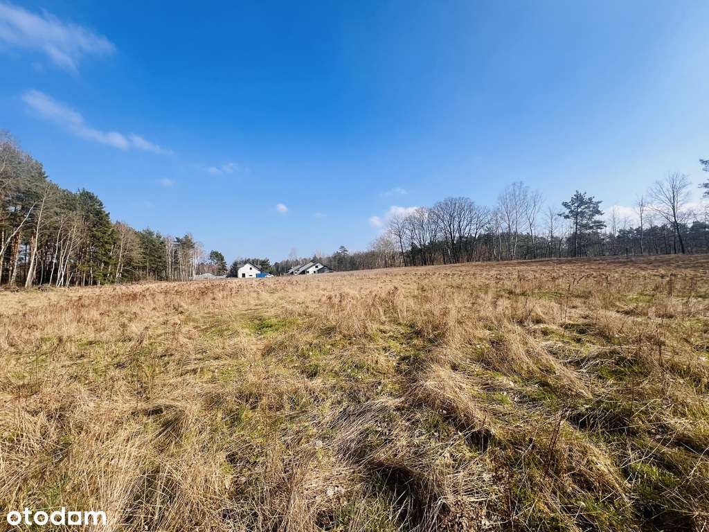 Działka na sprzedaż, Słone gmina Świdnica - Pełny obrazek: 4/6