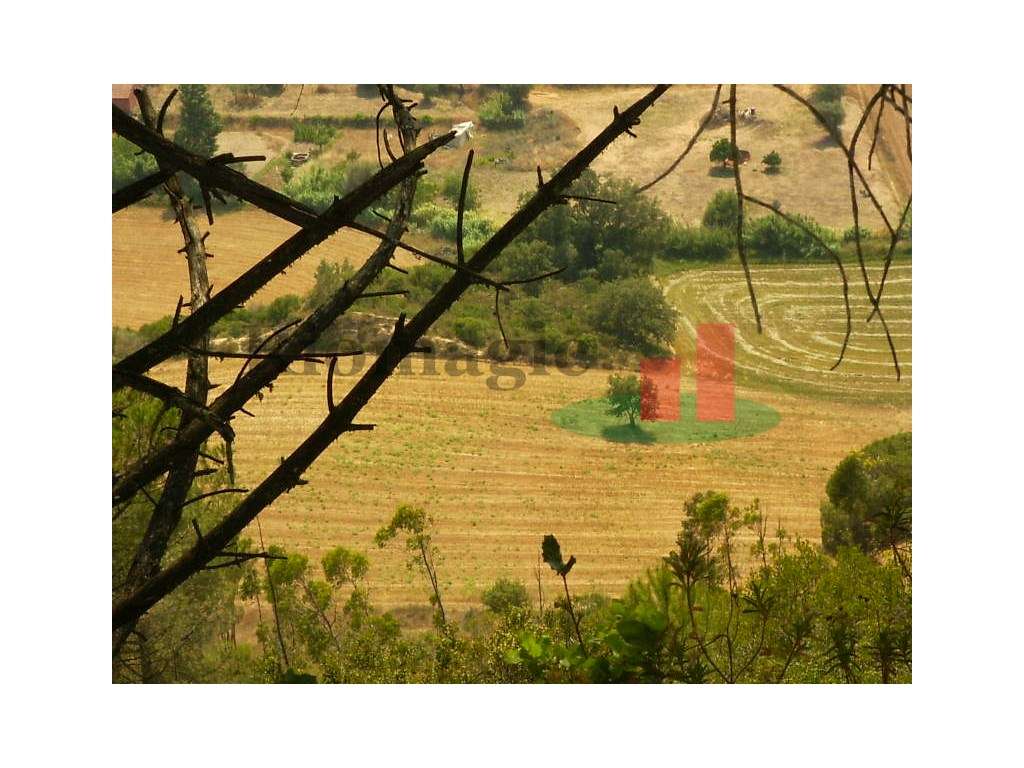 Terreno São João da Ribeira***RIOMAGIC*** - Grande imagem: 4/32