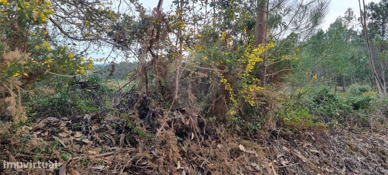 Terreno  para venda - Grande imagem: 5/6