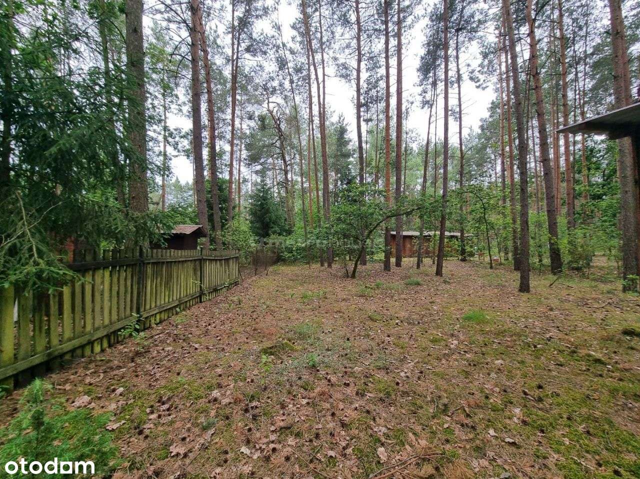 Działka, 3 300 m², Mierzwice-Kolonia - Pełny obrazek: 5/18