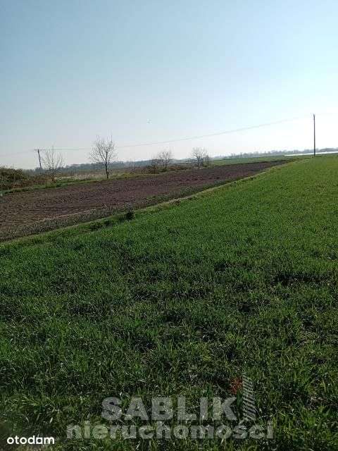 Działka budowlana 1465m2, Gmina Domaniów, Wierzbno - Pełny obrazek: 2/9