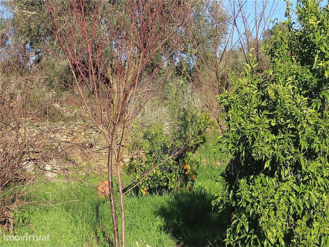 Moradia T3 para venda-26