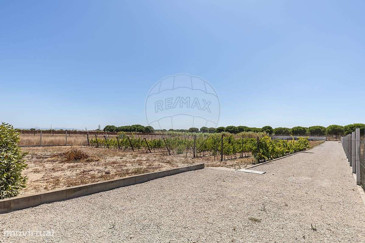 Quinta  para venda-10