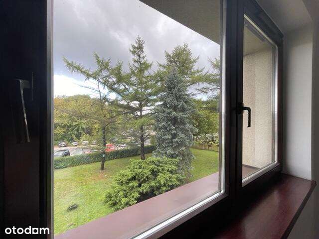 Biura do wynajęcia Centrum Rybnika - Pełny obrazek: 4/9