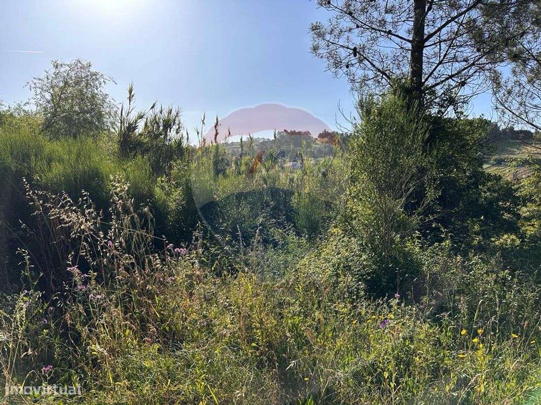 Terreno  para venda - Grande imagem: 4/8