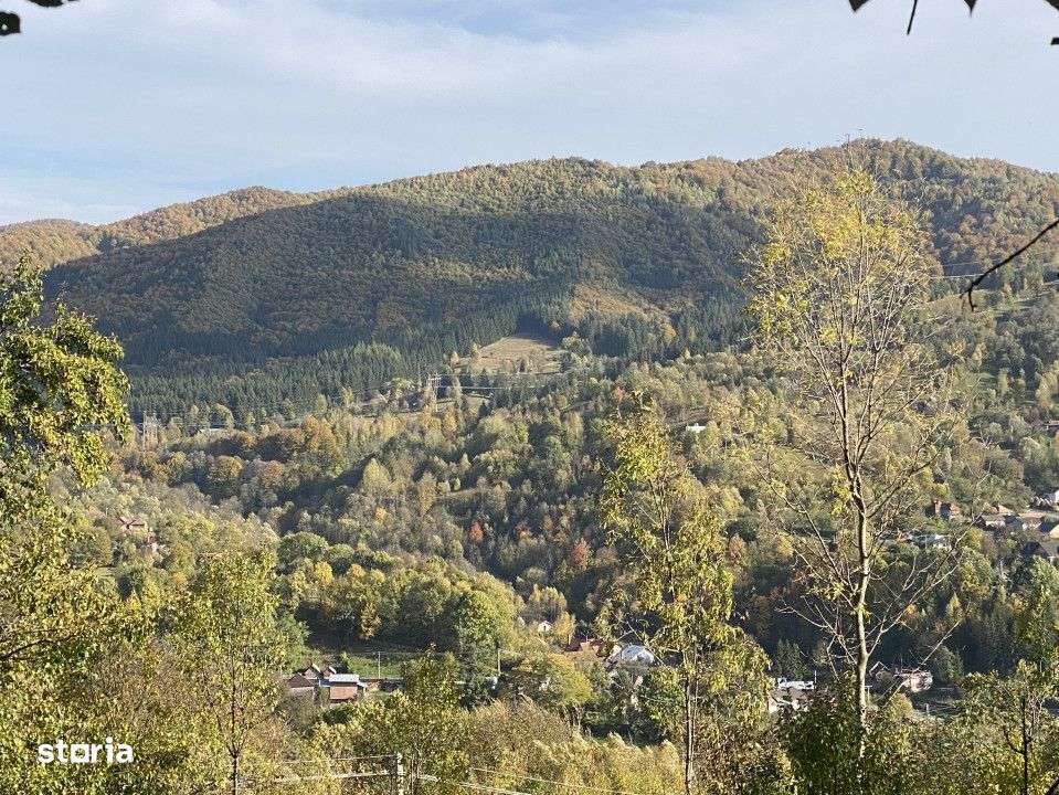 Teren retras panoramic Valea Doftanei 1350 mp panta lina, cu utilitati-9