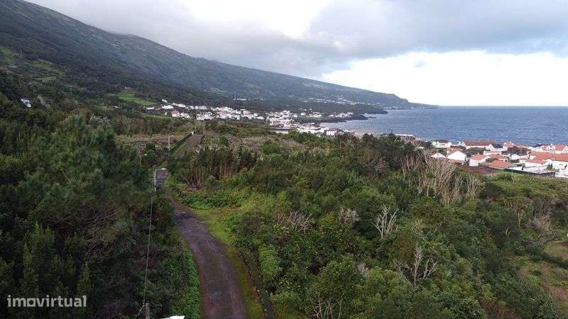 Quinta Maravilhosa em Santo Amaro (ilha do Pico) Azores - Grande imagem: 5/26
