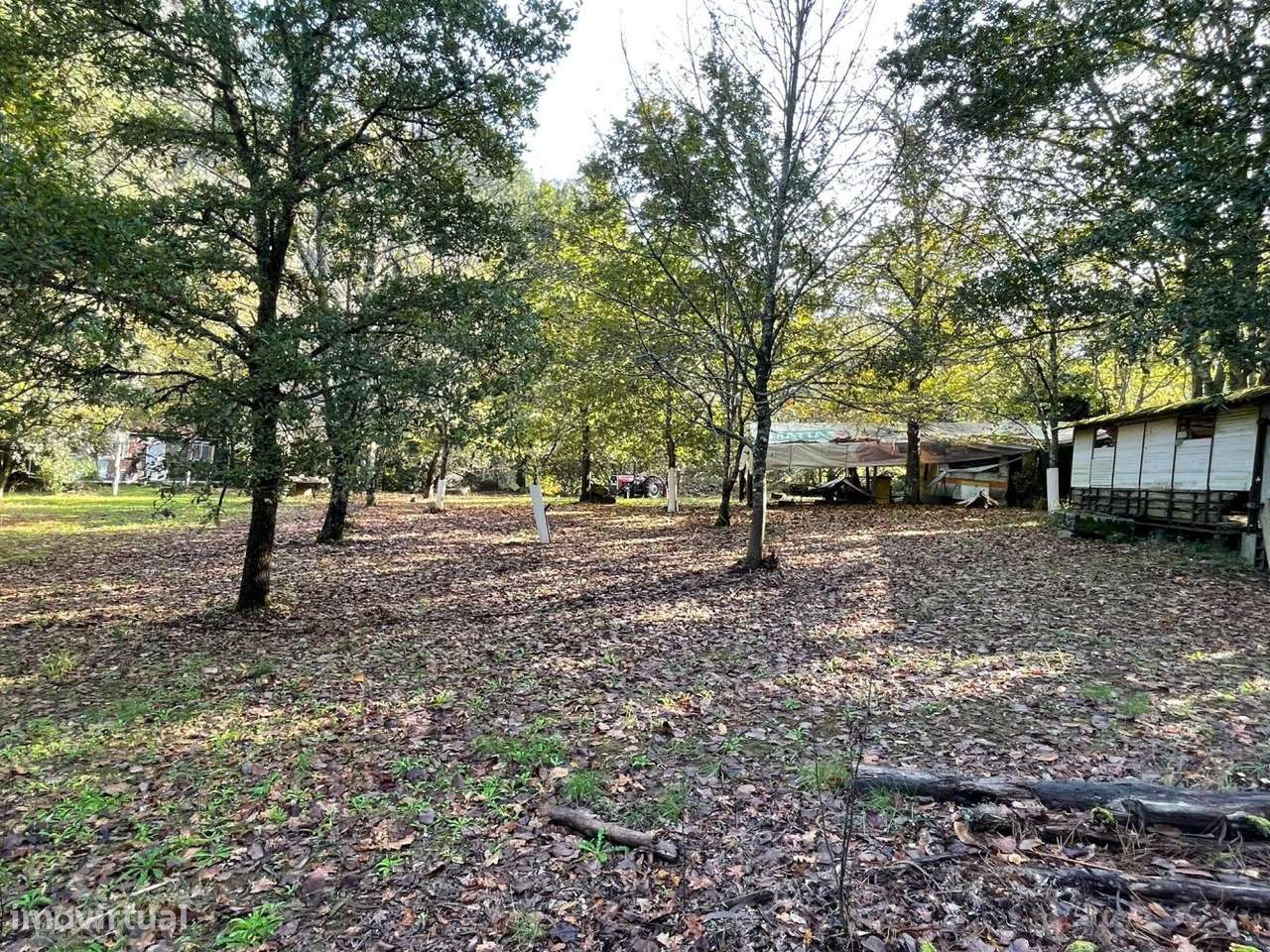 Quinta com casa para recuperar junto a ribeiro - Grande imagem: 5/24