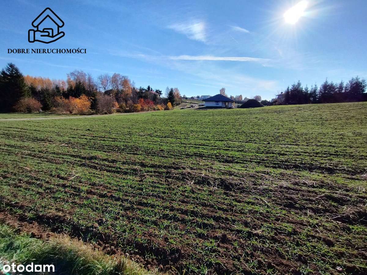 Budowlana 0,17ha przed obwodnicą - Snopków/Marysin - Pełny obrazek: 4/7