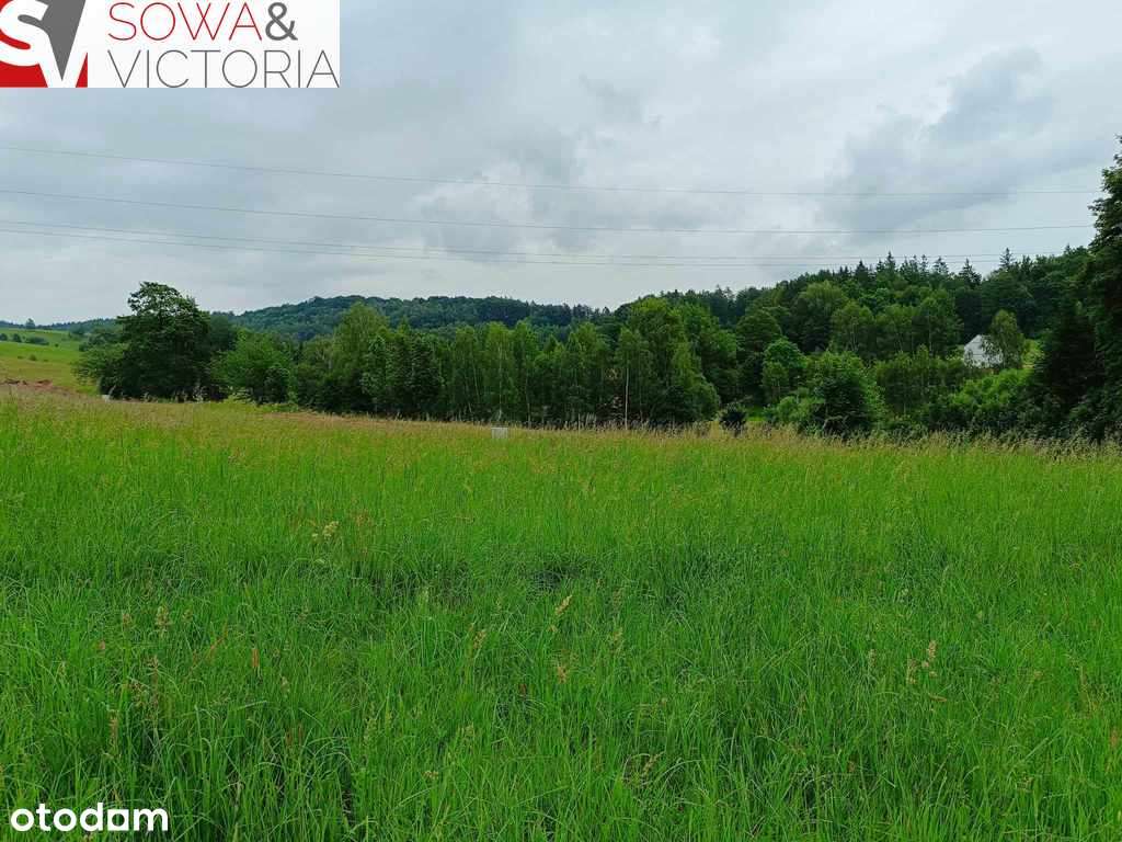 Widokowa działka;prąd, droga i dogodna komunikacja - Pełny obrazek: 3/15