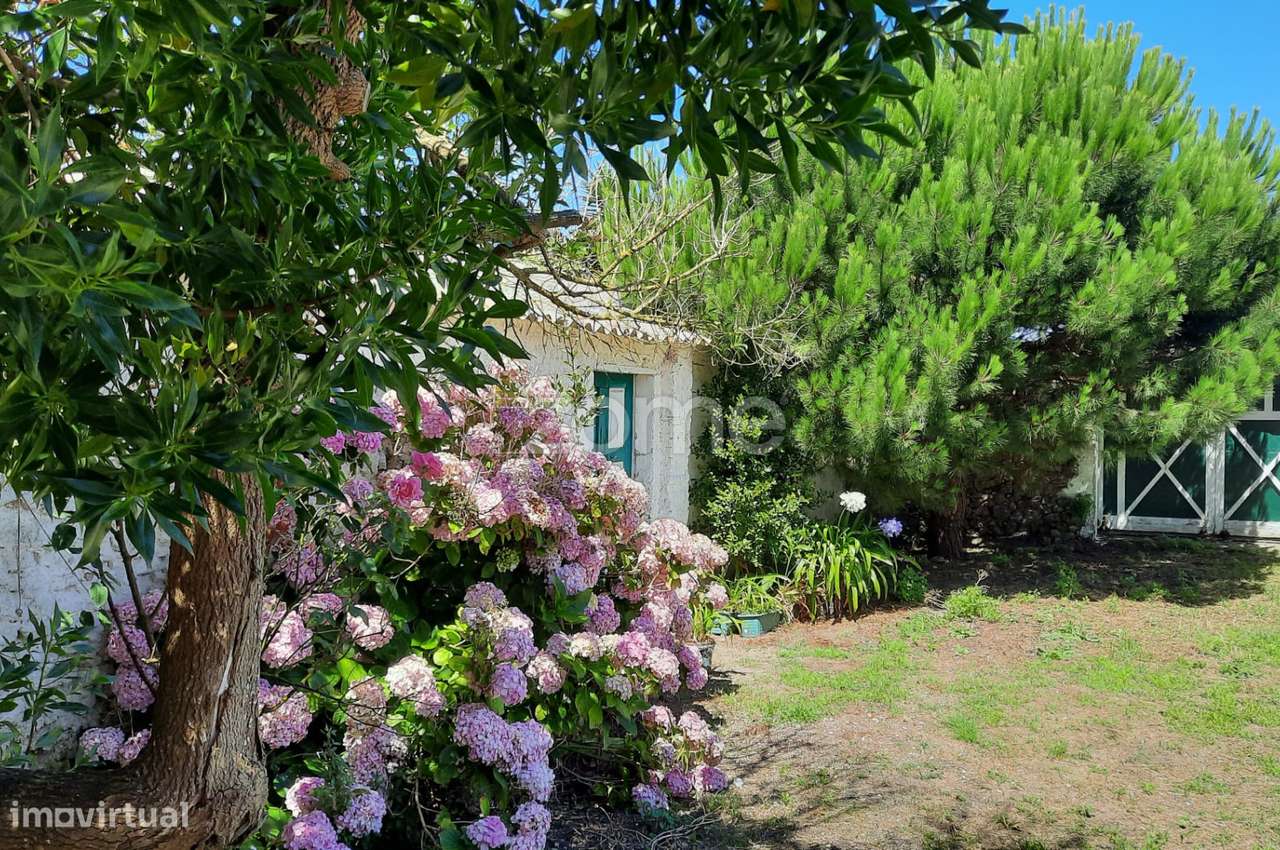 T10 no melhor Sitio da Nazaré-26