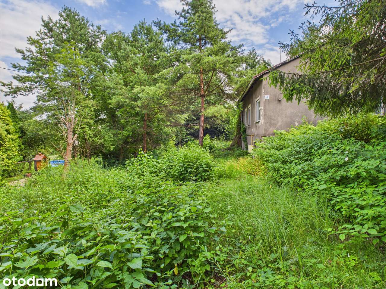 Zielona Działka z Własnym Źródłem i Stawem w Świetnej Lokalizacji!-19