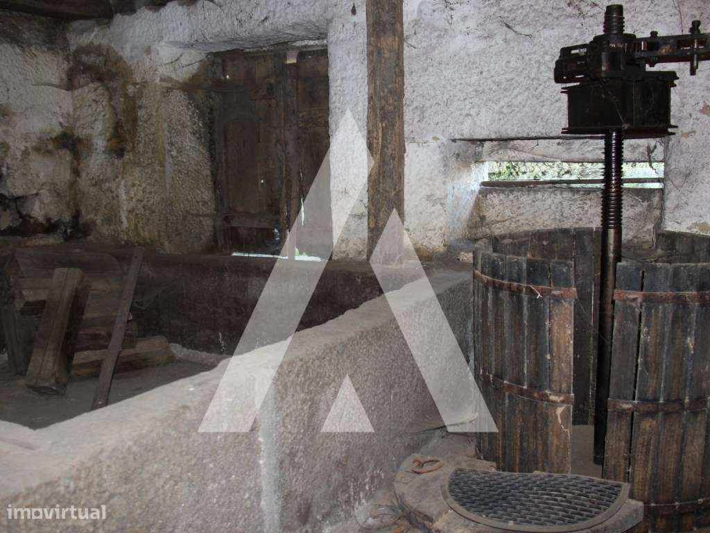 Quinta T6 histórica para recuperação, Guimarães.-20