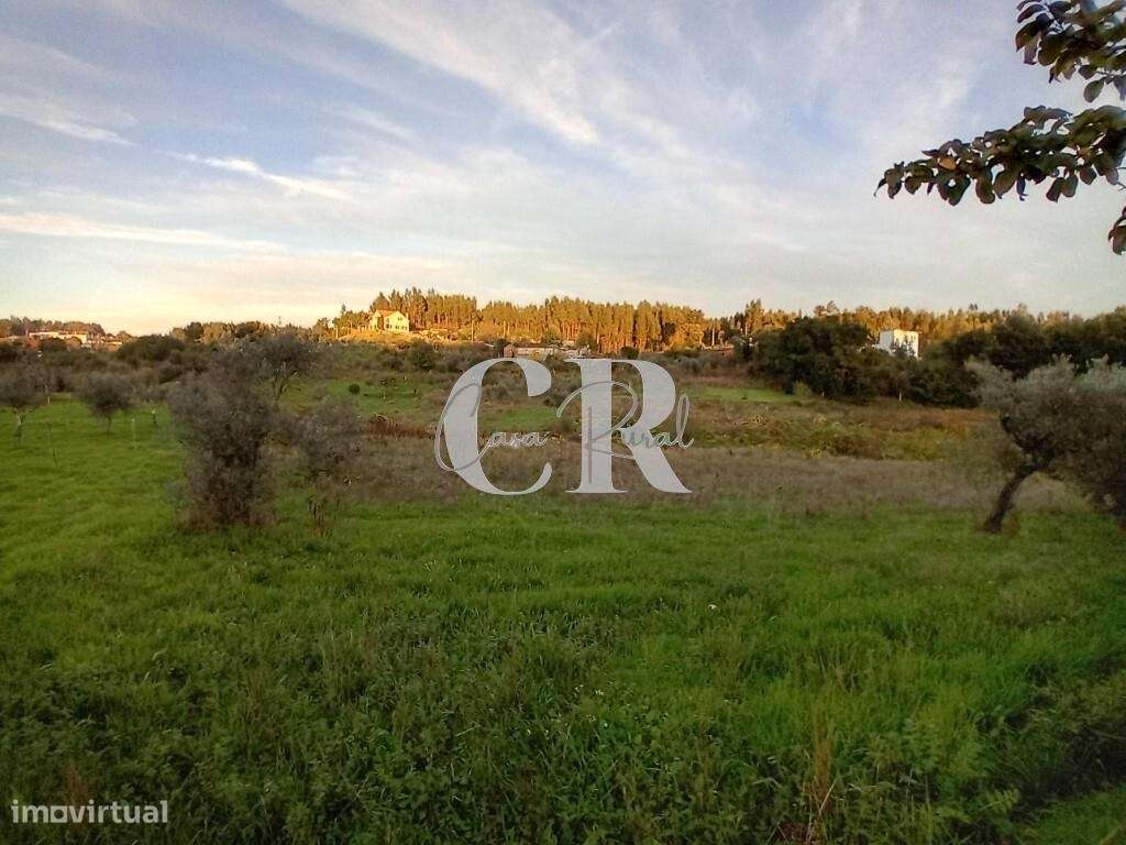 Moradia T3 com terreno pronta a habitar, logradouro e poço de água em-30