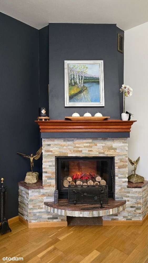 Wolnostojący-dostępny od zaraz-Michałów-Reginów - Pełny obrazek: 3/20