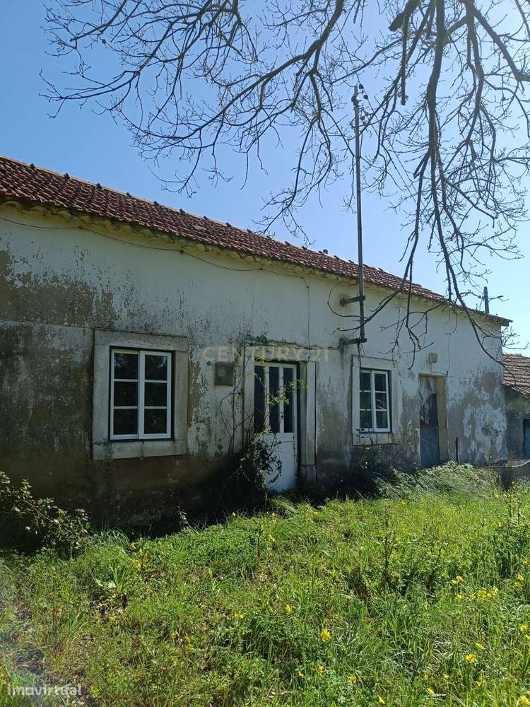 Moradia T2 para Recuperar - Grande imagem: 4/13