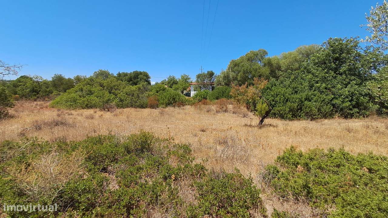 Terreno com 9.135 m² em Boliqueime-22