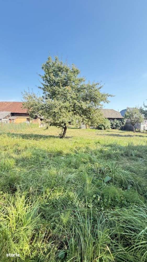 OCOLIS casa batraneasca  cu sura si 14 ari teren! - Imagine principală: 4/6