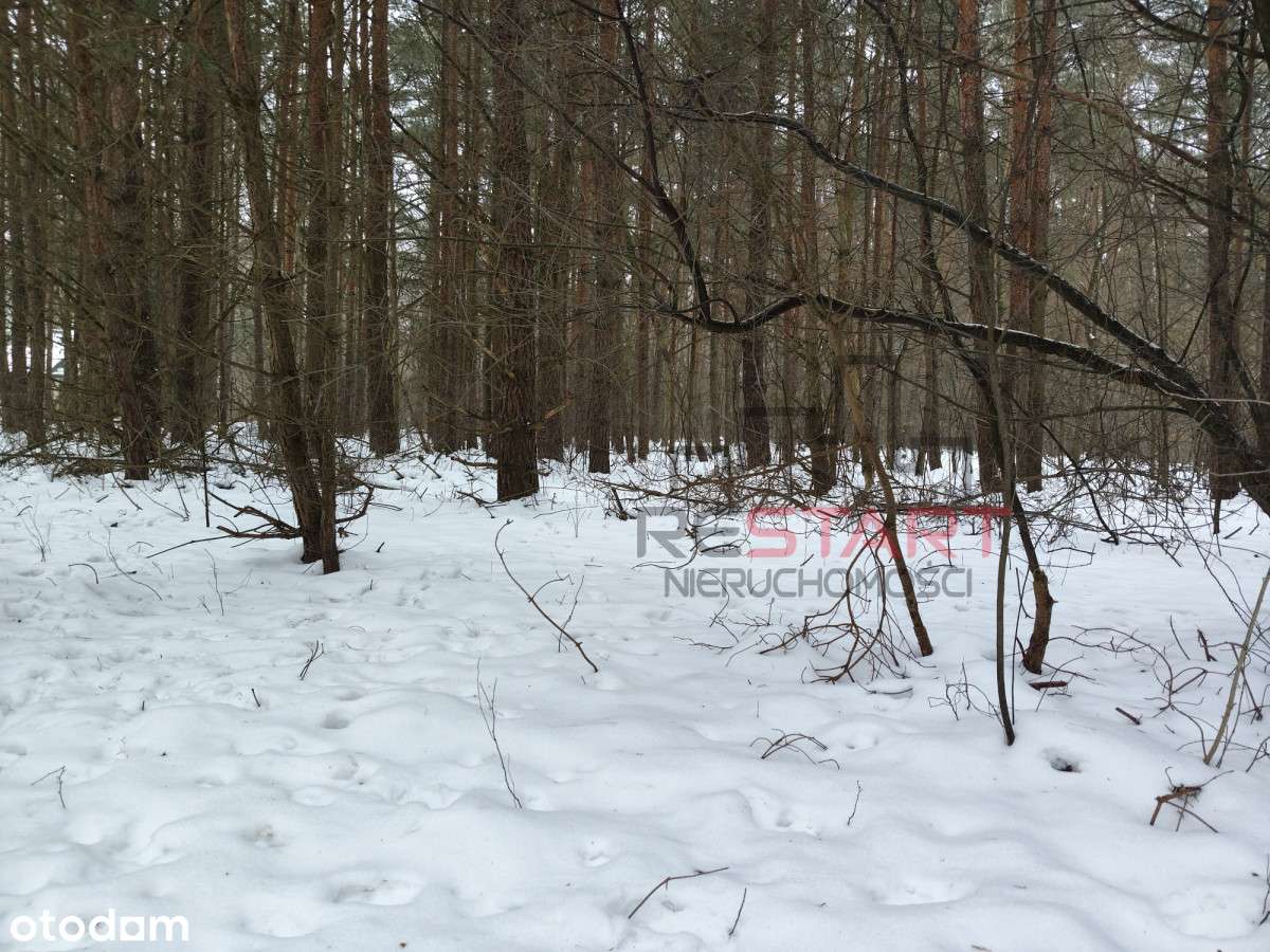 Działka rekreacyjna na mały domek-5