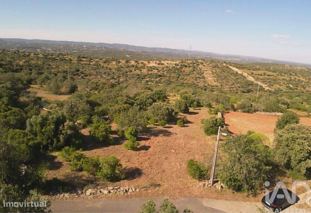 Terreno em Conceição e Estoi de 1840,00 m2 - Grande imagem: 2/6