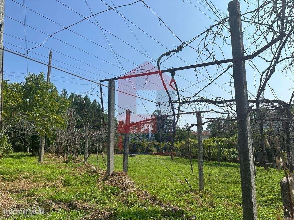 Terreno com projeto, Gême - Grande imagem: 4/20