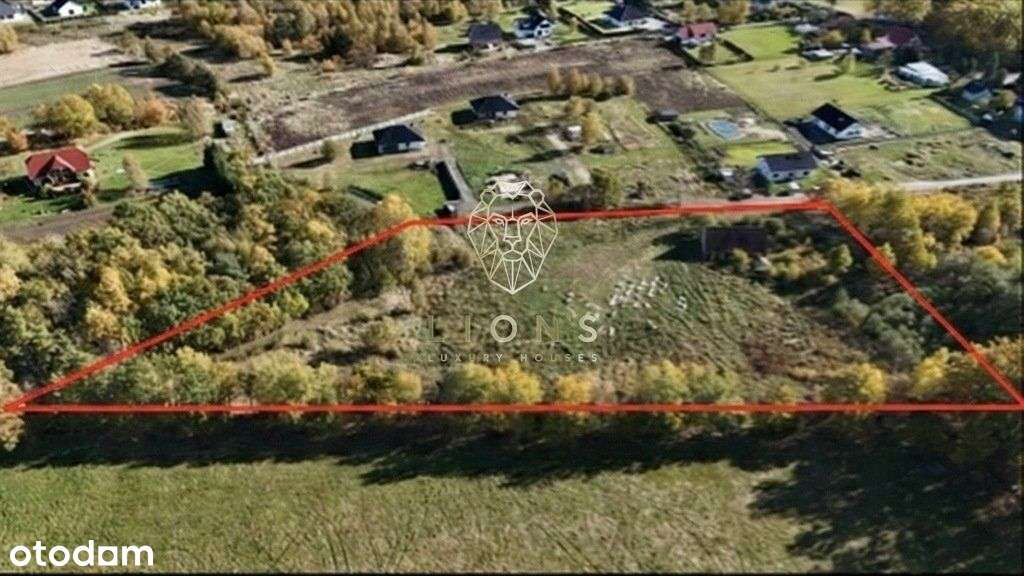 sprzedamy działkę z Wz o pow. 15000m2 (1,5ha) - Pełny obrazek: 2/6