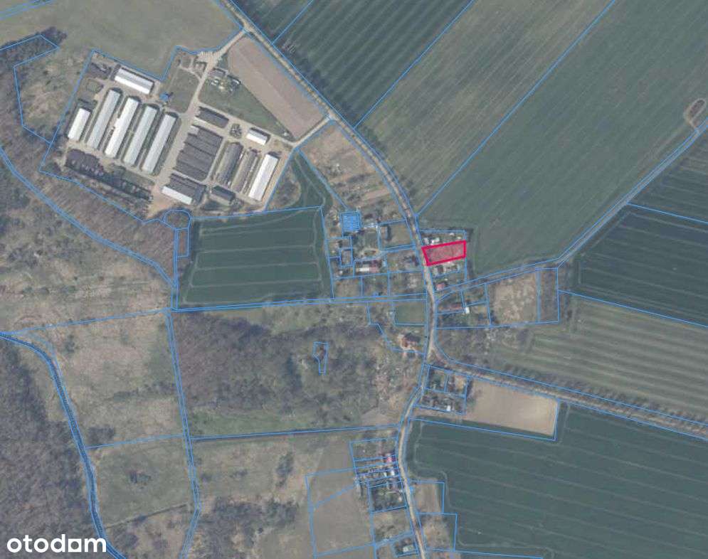 Kędrzyno 16 km od Kołobrzegu-8