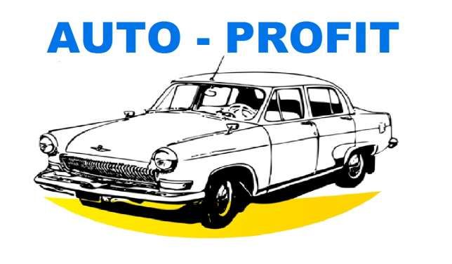 AUTO - PROFIT logo
