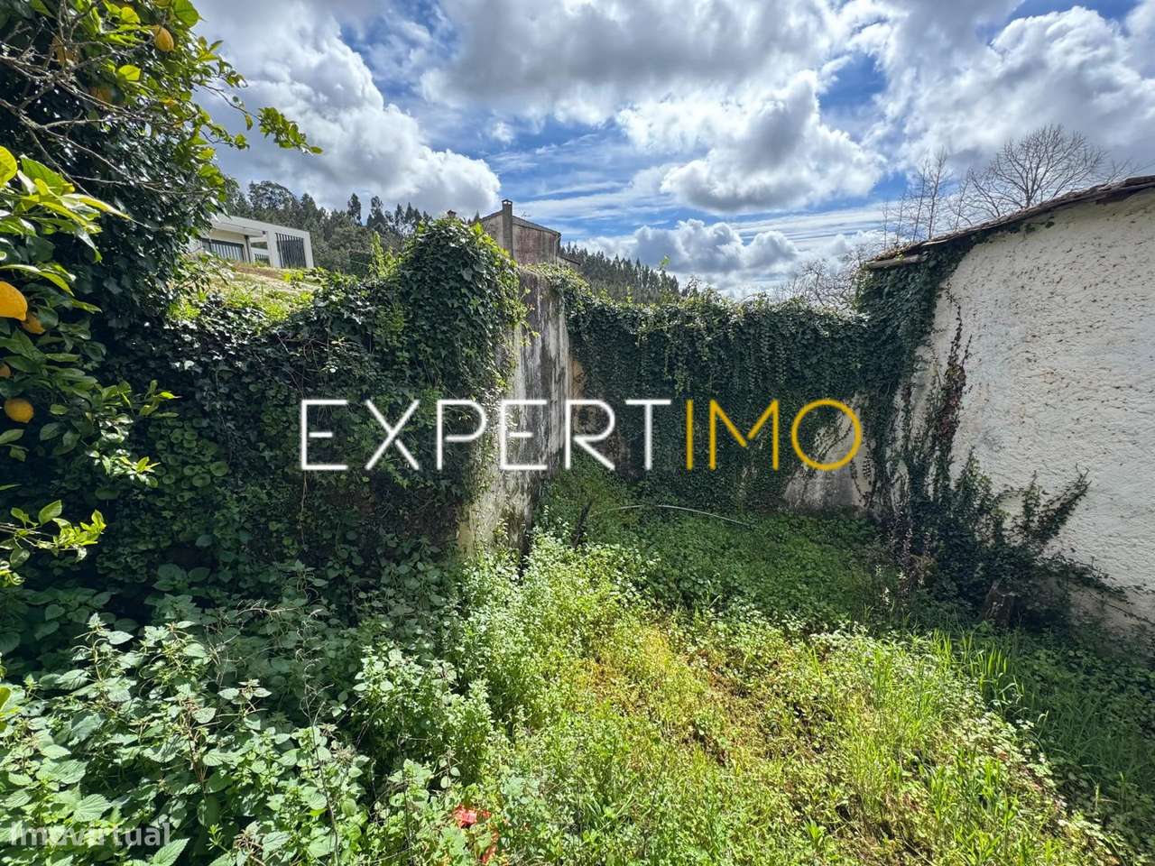 Moradia T3 com Terreno, Poço, Pátio Interior e Garagem em...-18