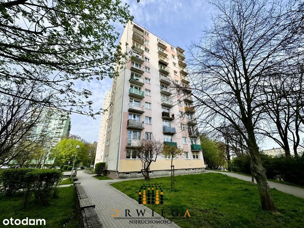 Mieszkanie, 49,63 m², Gorzów Wielkopolski