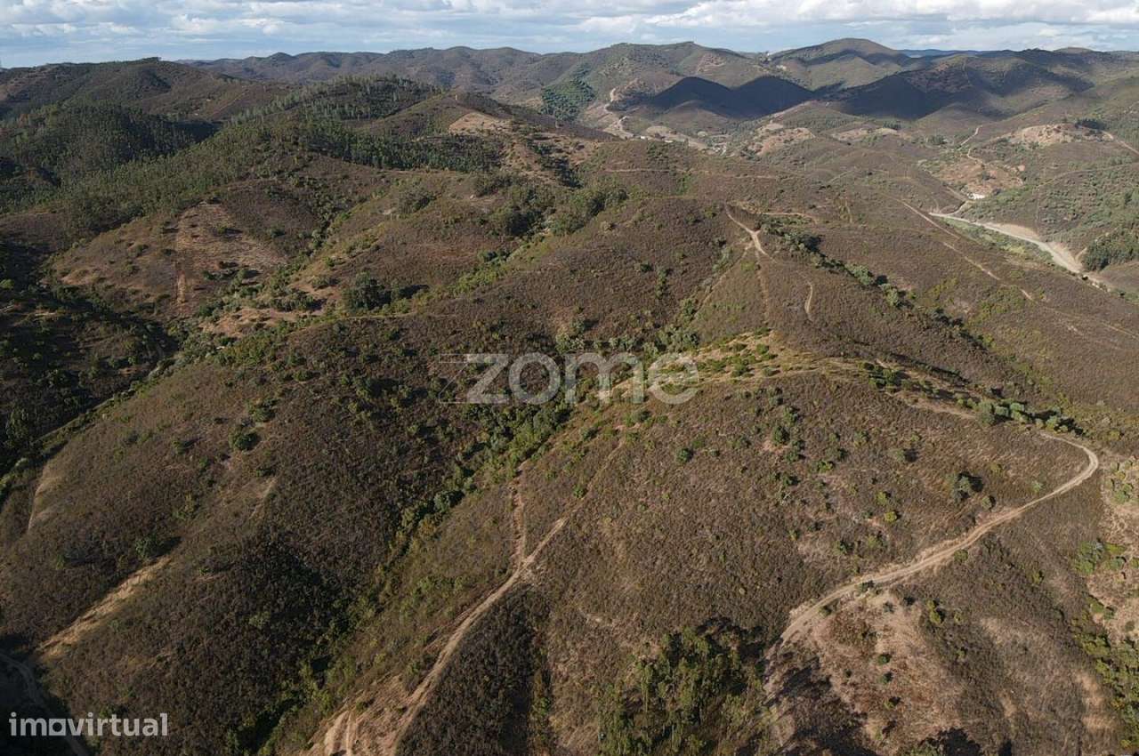 Terreno em S.B.Messines, Foz do Ribeiro com 45.680m2, c/ poço de ág... - Grande imagem: 2/20