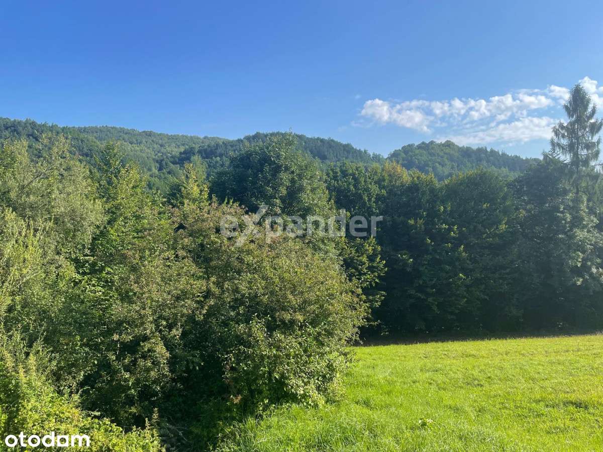 Widokowa działka z Pnb dom jednorodzinny/las - Pełny obrazek: 2/8