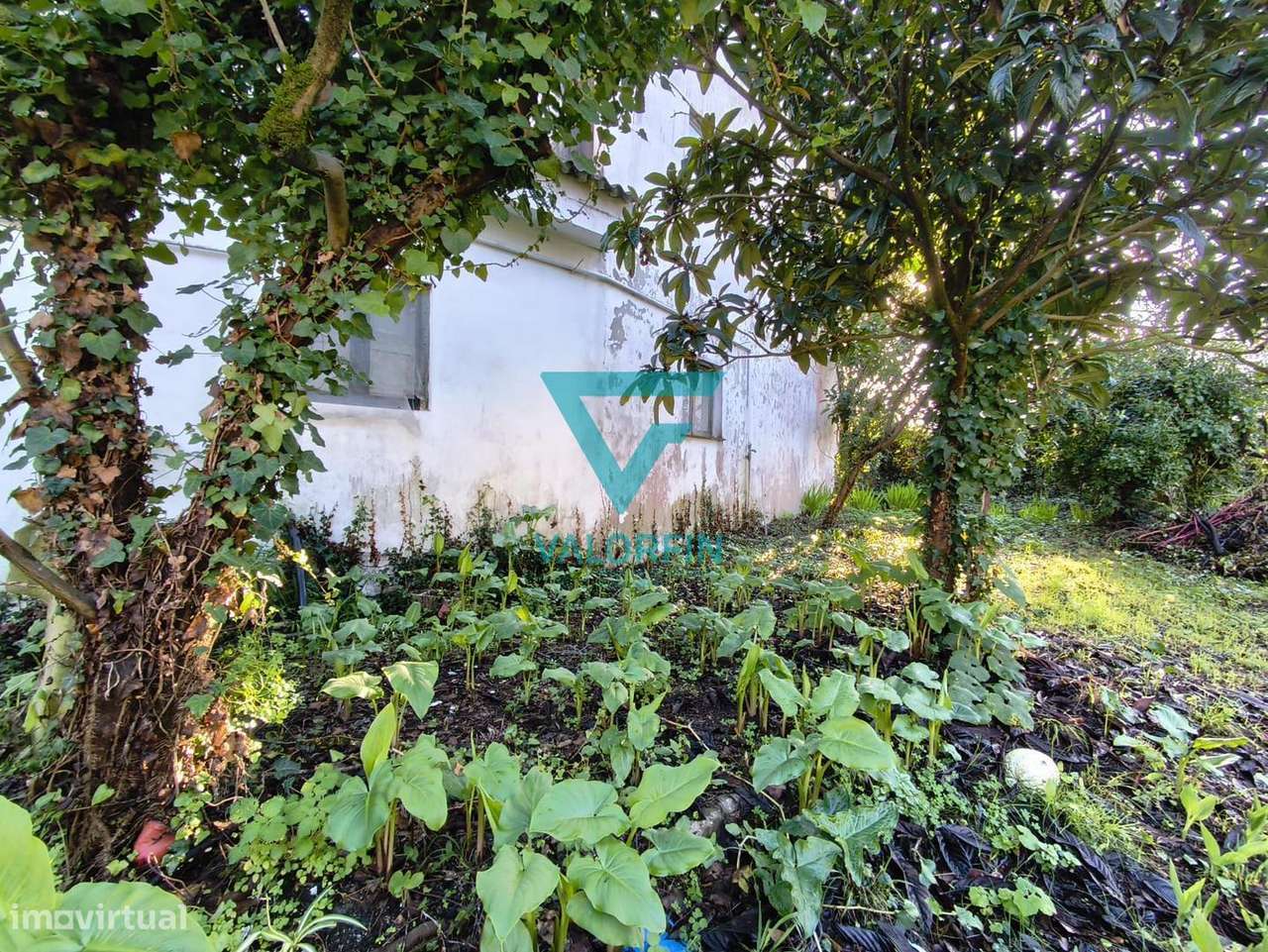 MORADIA T3+2 para Recuperar com Garagem e Terreno | Maceira – Leiria-8
