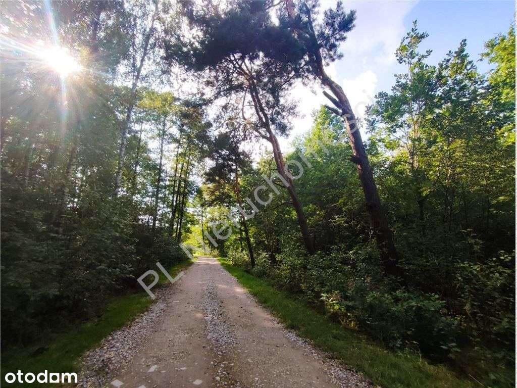 Spokój Czarnego Lasu, bliskość Warszawy.-3