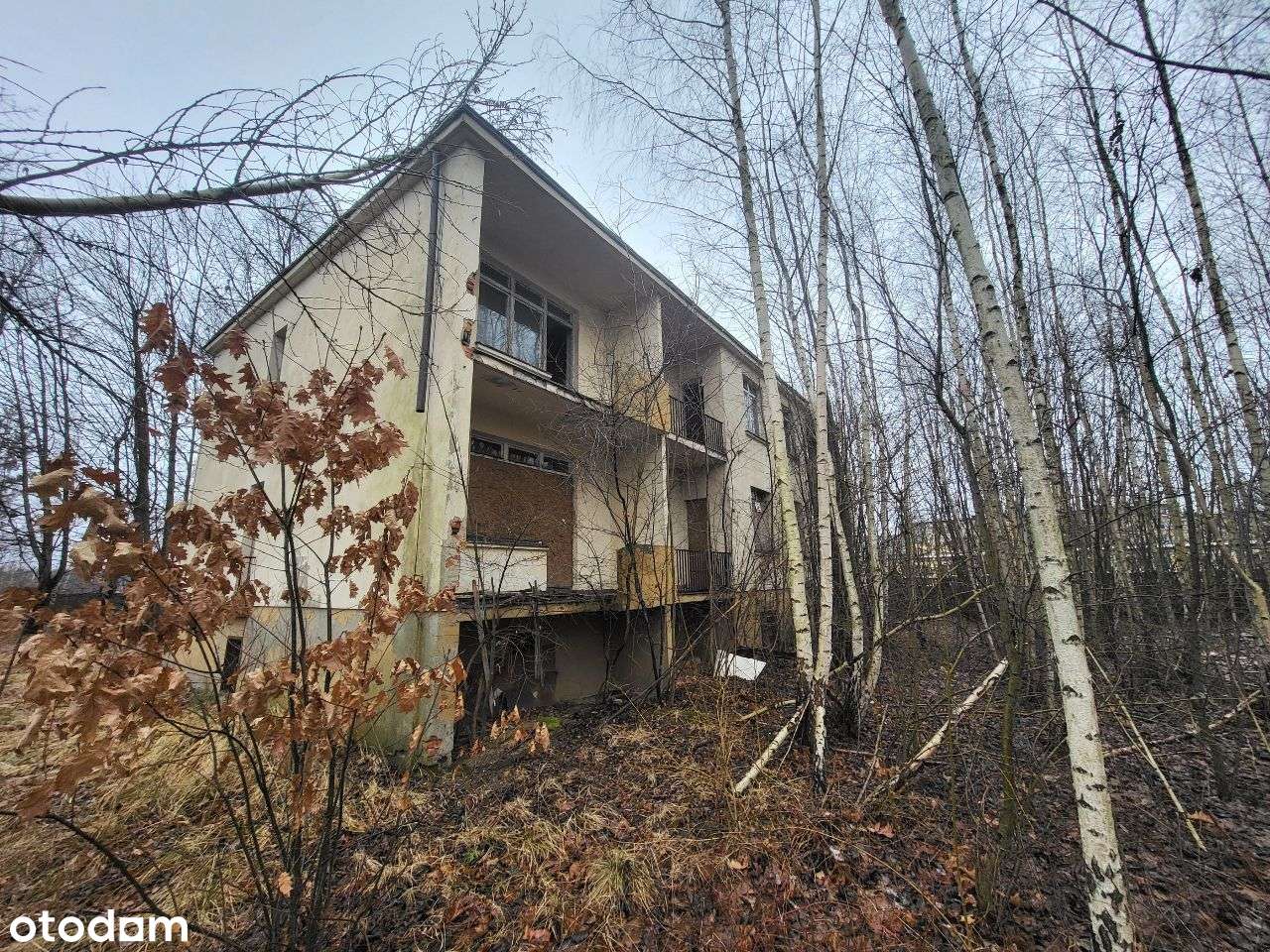 Budynek usługowy z dużą działką - Pełny obrazek: 5/12