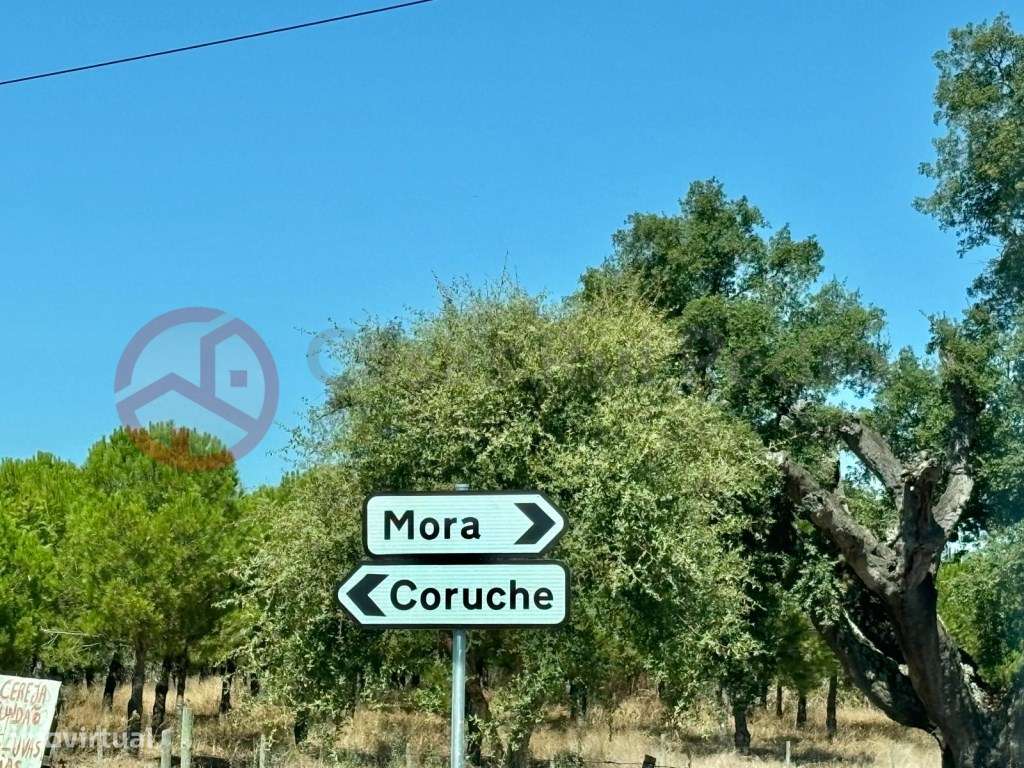 Quinta com moradia isolada e olival, no Couço, Coruche - Grande imagem: 5/31