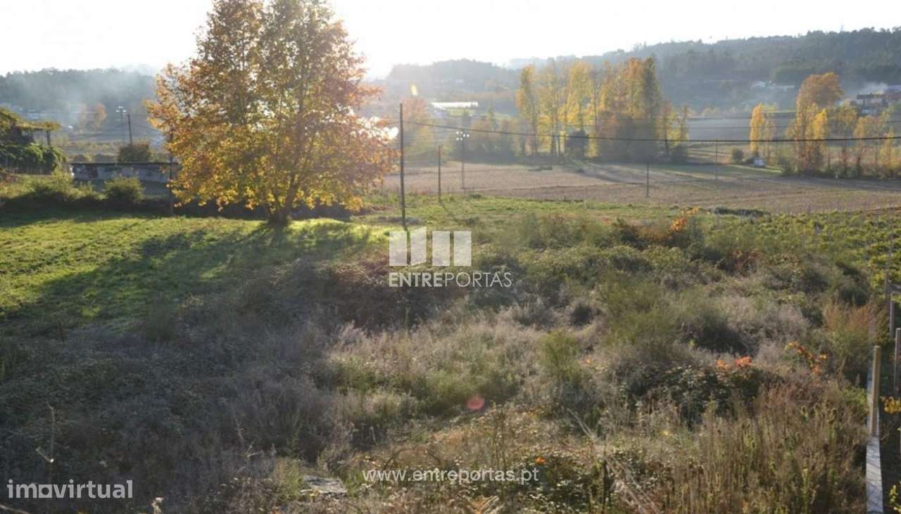 Venda Terreno, Travanca, Amarante - Grande imagem: 3/9