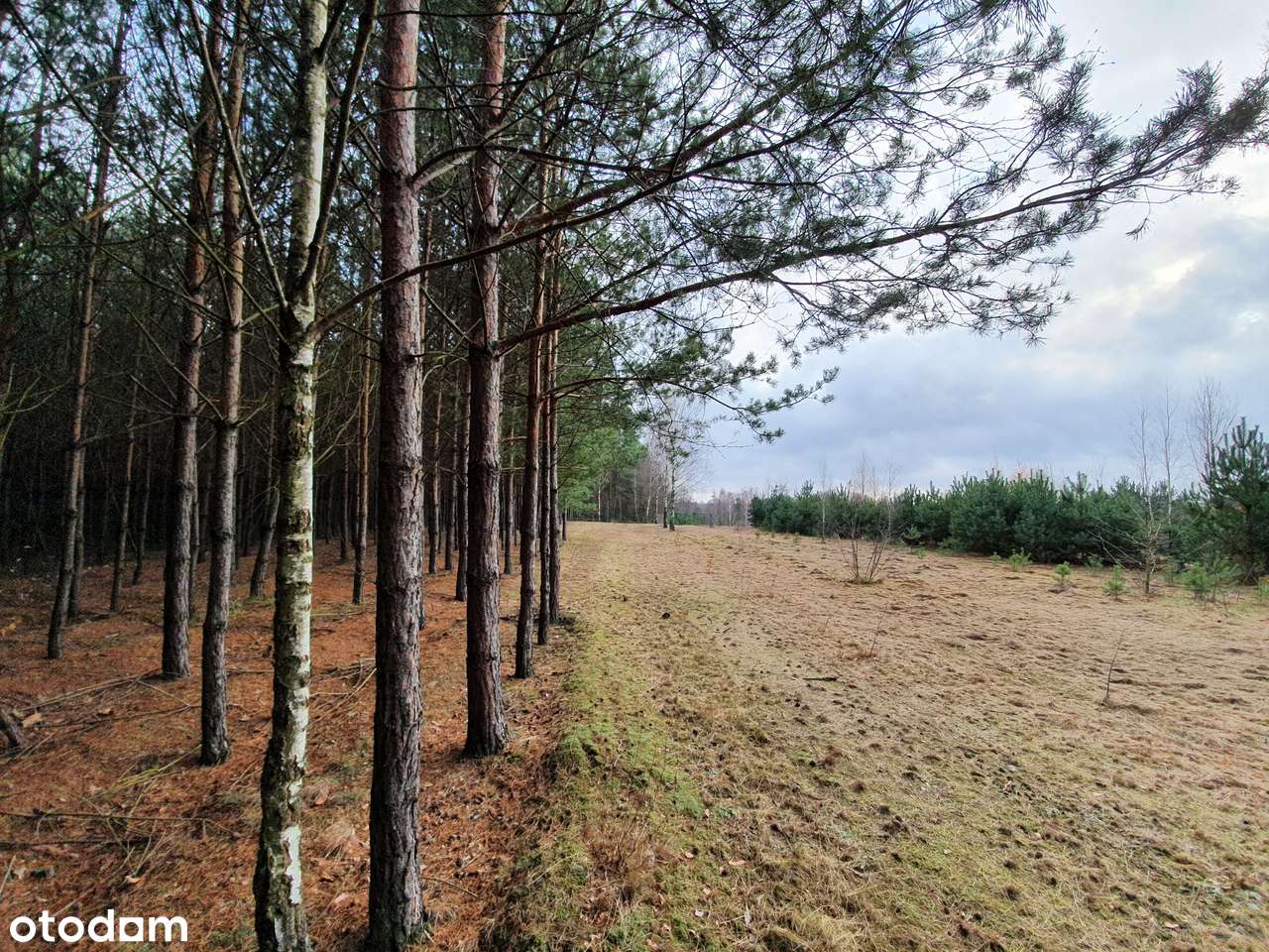 Działka z pozw. na budowę, projekt Inovia, j. Białe-13